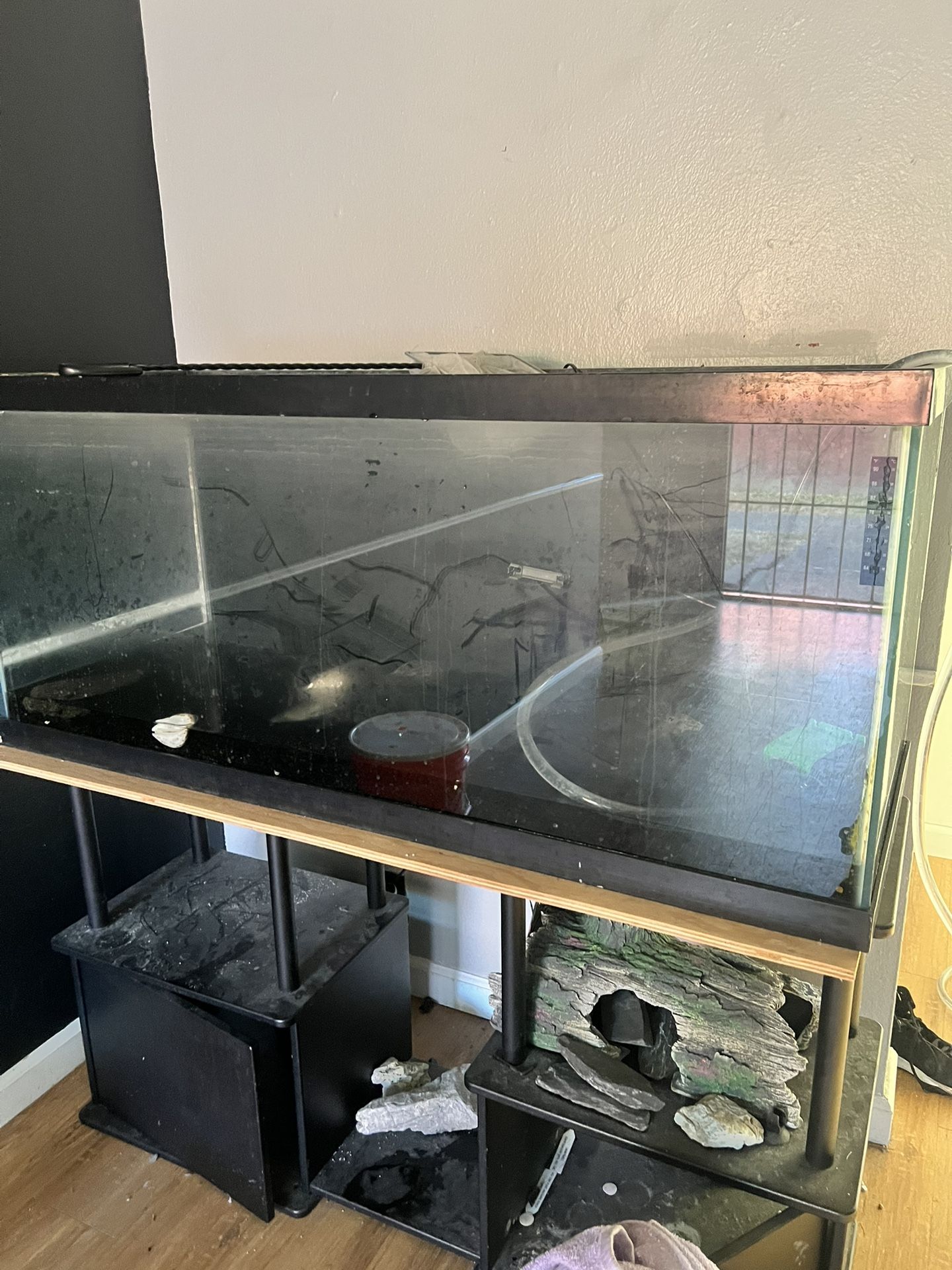 Free Tank 