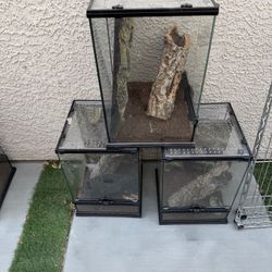 Lot of Reptile Habitat