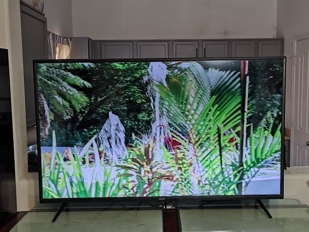 Vizio 50"