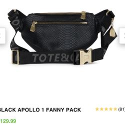 New With Dust Bag Tote N Carry Fanny Pack 