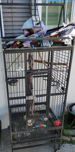Parrot cage