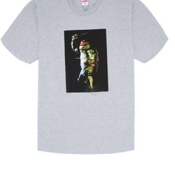 Supreme Raphael Tee Grey Sz M 2021