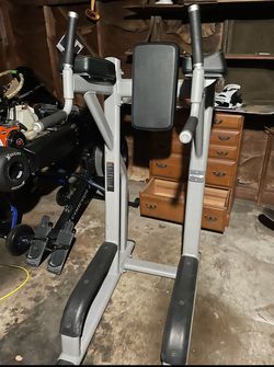 Precor Vertical Knee-Up