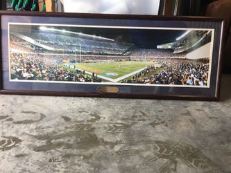 Bears framed photo