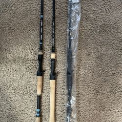 Casting Rod  G Loomis Nrx