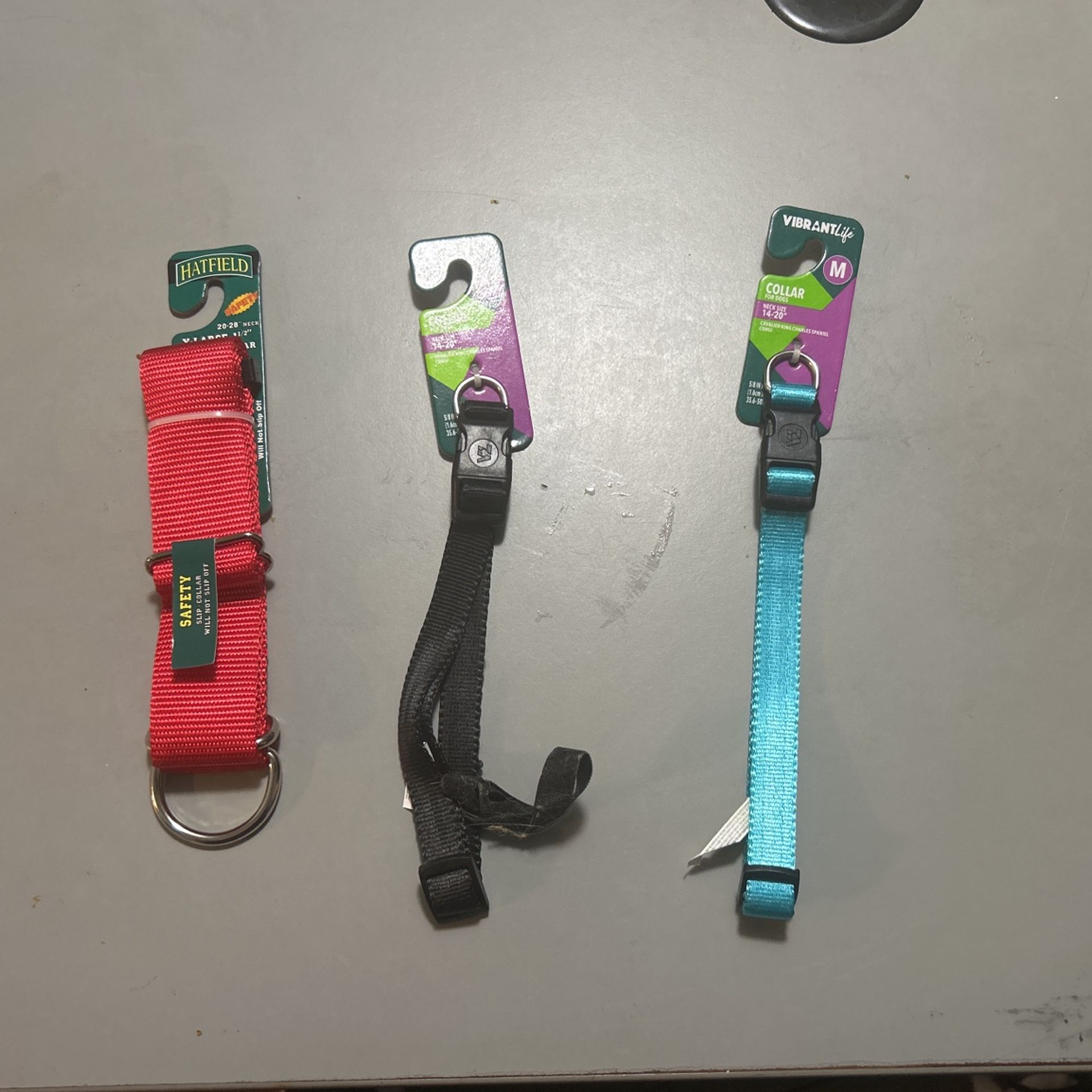 Dog Collars