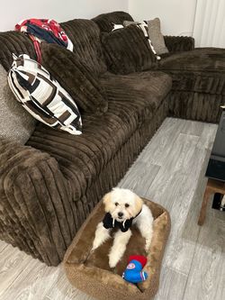 Midnight Madness 2 Piece Sofa