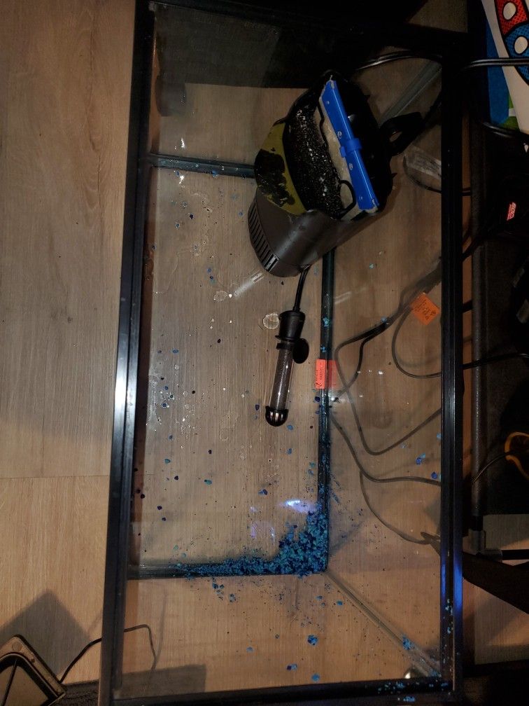 20 gallon aquarium