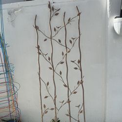 Trellis 
