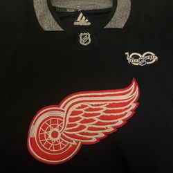 Detroit Redwings NHL jersey 