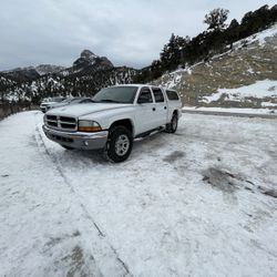 2004 Dodge Dakota