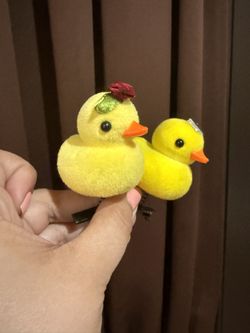 Yellow Little Chicks