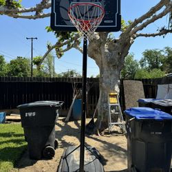 Boys / Kids Basketball Hoop 