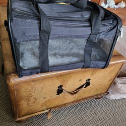 10x17x10 Small Pet Travel Bag