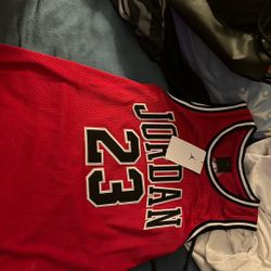 jordan brand jersey (gym red)
