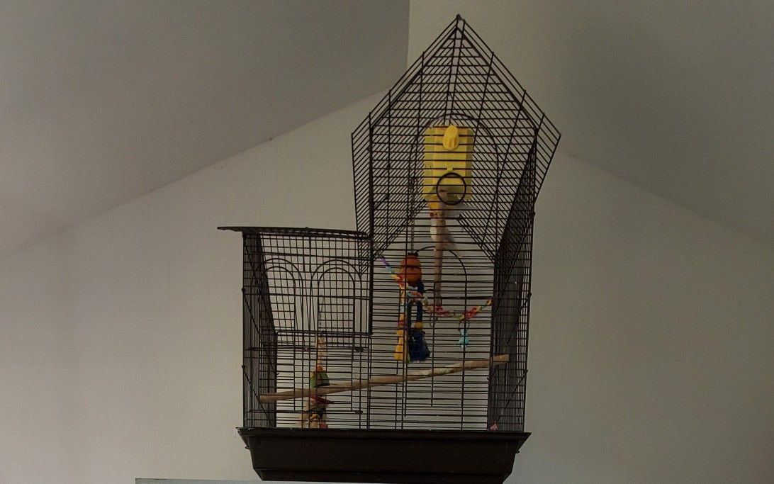 Cage