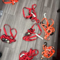 Ratchet Straps And Bungee Cords