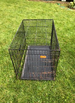 36 x 24 Dog Cage