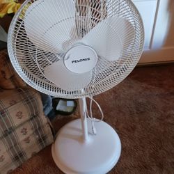 Fan