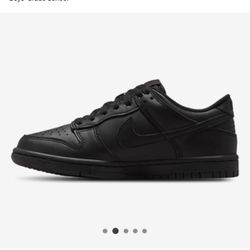 Nike dunks low(GS) all black *Not Free*