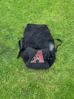 MLB player bag