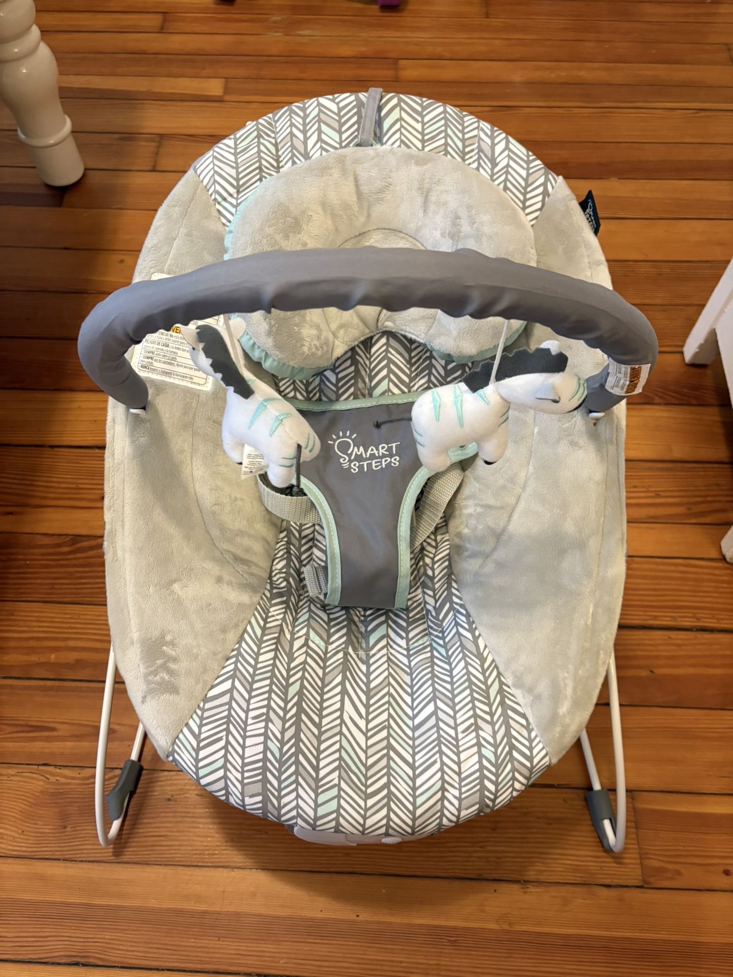 Baby Bouncer