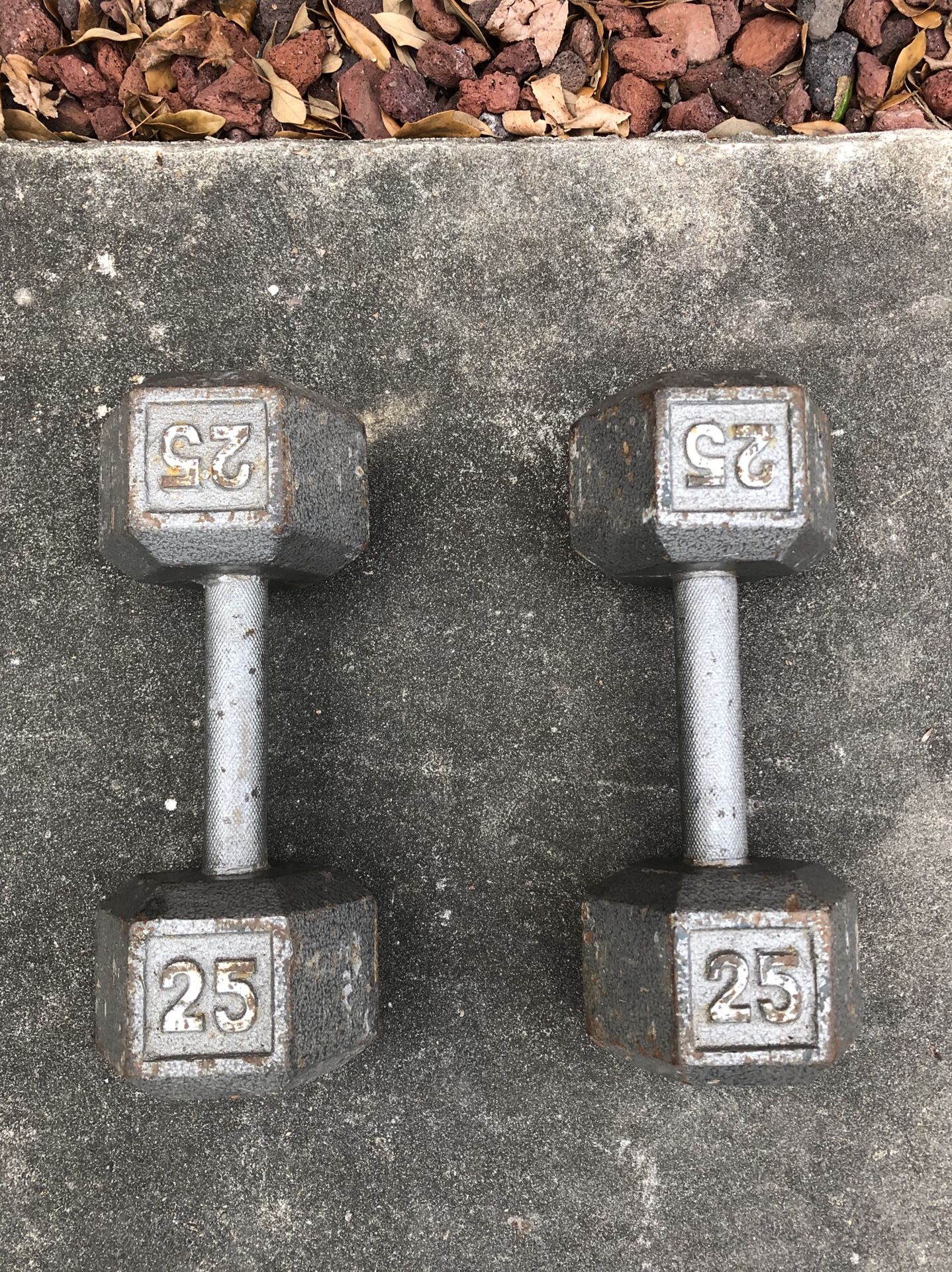 Dumbbells 25 lbs