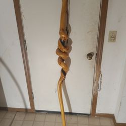 Walking Stick