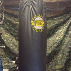 Everlast Punching Bag 