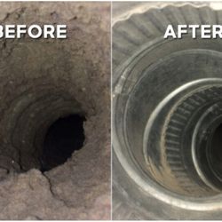 Castle Bay Lint Removal Service 