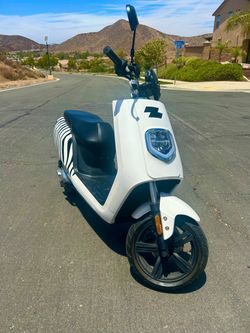 Zebra Electric Scooter