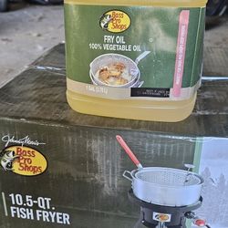 10.5 qt Fish fryer