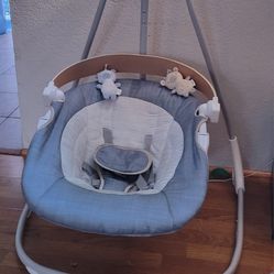 Ingenuity Swing And Bouncer