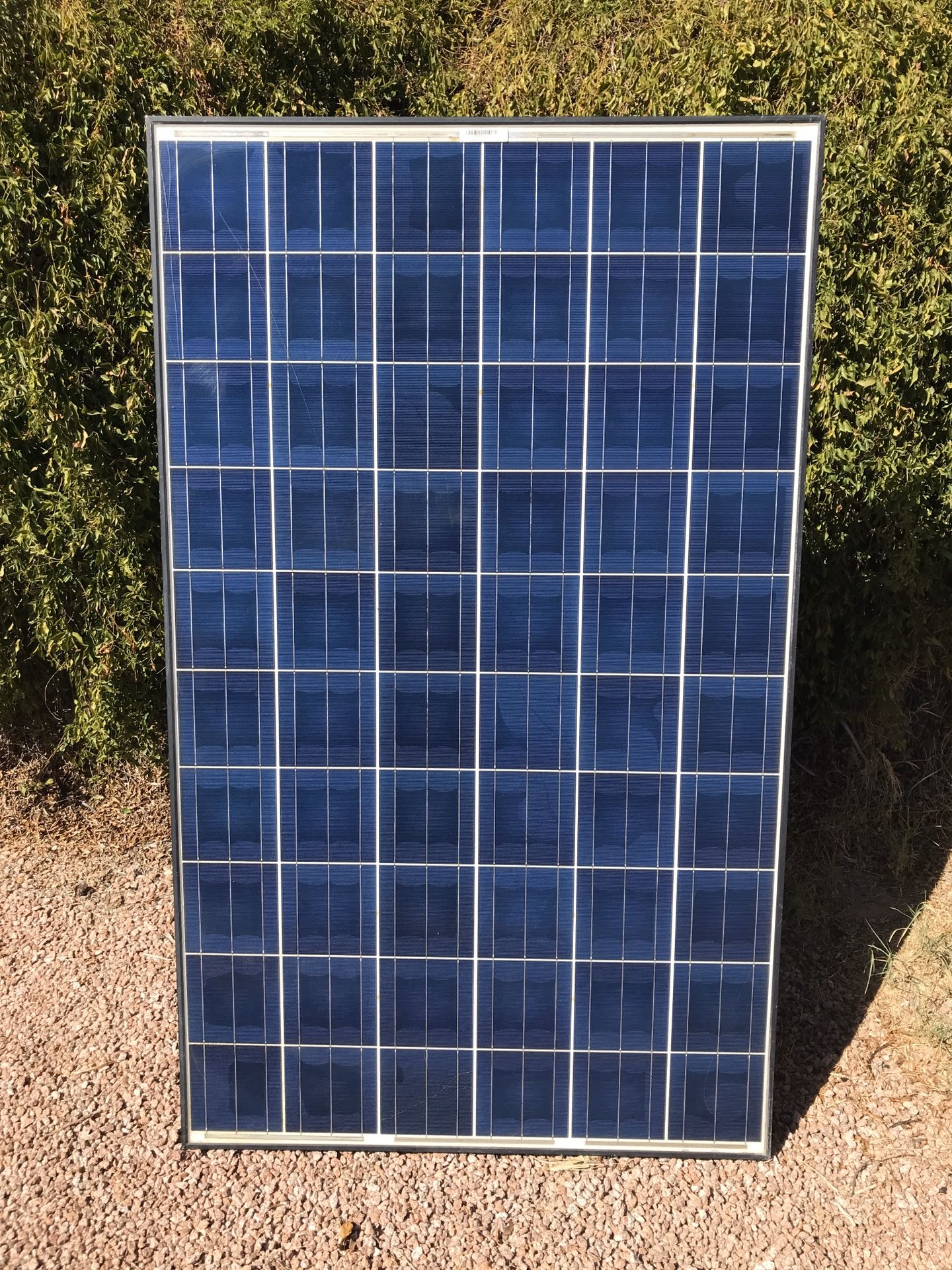 Solar PV Modules Panels TRINA SS250P-60 Polycrystalline 250 Watt
