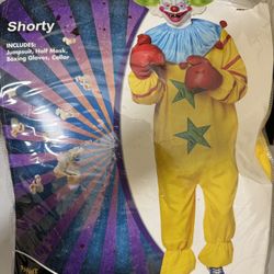 Adult Lg Halloween Costume