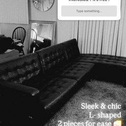 Free L Shaped Couch 