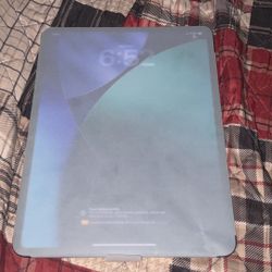 iPad Pro 13 Inch 256gb  Cellular M5 