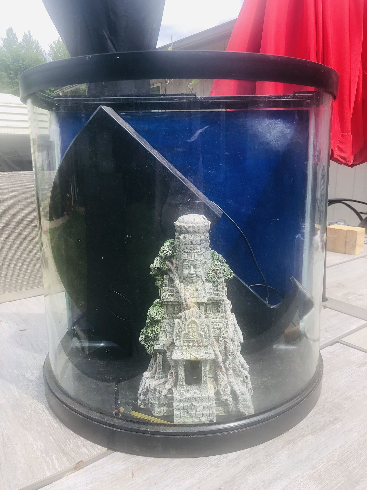 Fish Tank