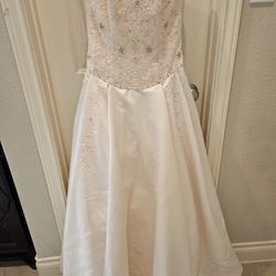 Quinceañera/Wedding Dress
