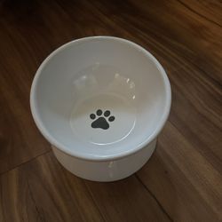 Dog Bowl/ Plato De Comida De Perro