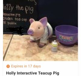 Teacup Pig Collectible