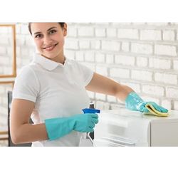 Clean Houses 