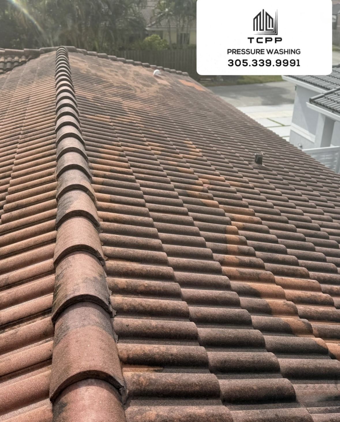 Pressure Cleaning And Soft Washing