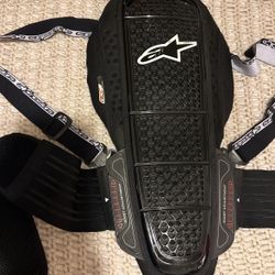 Back Shield