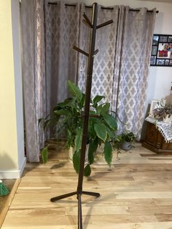 Wood Coat Stand