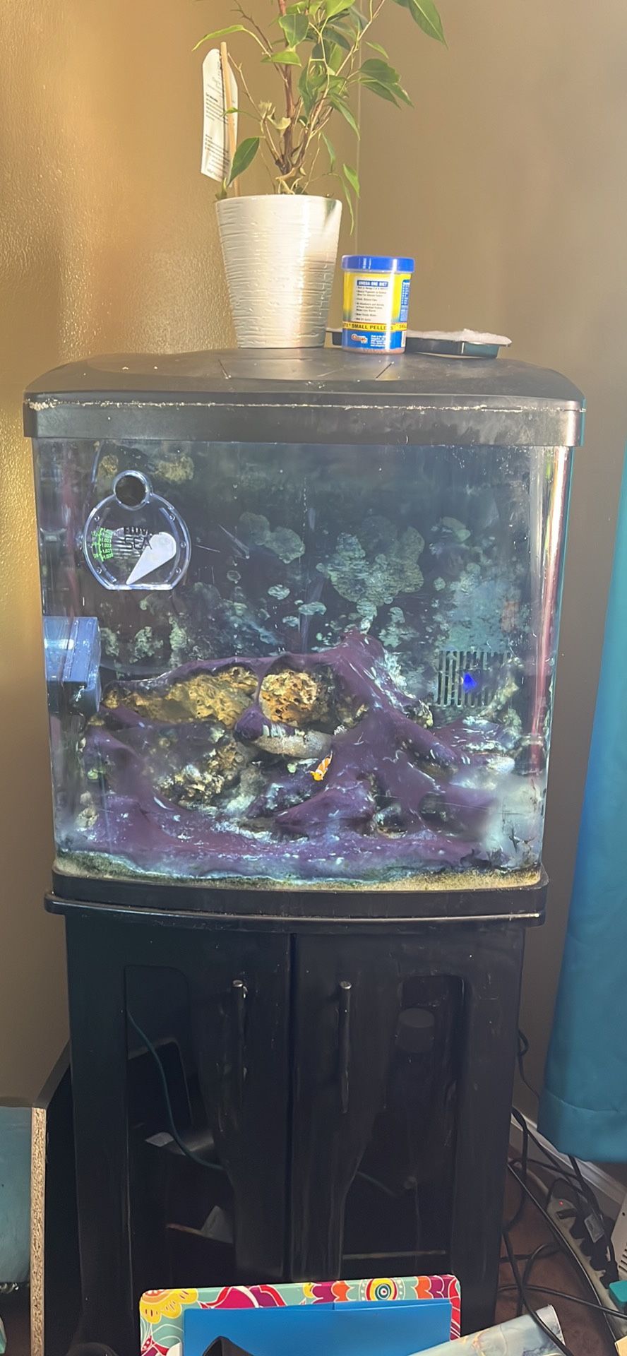 32 Gal Biocube 