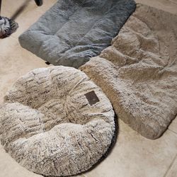 Dog beds