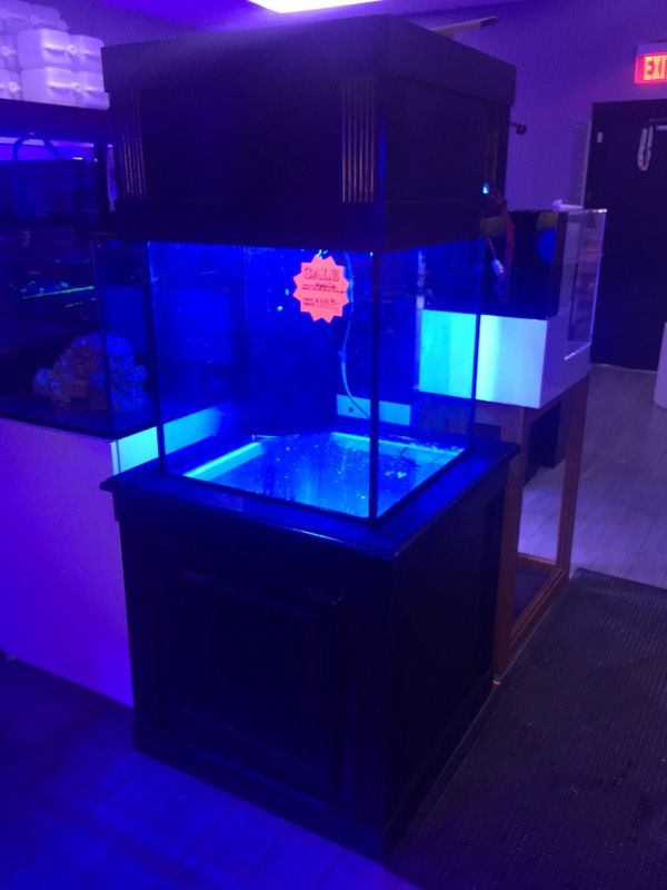 60g Deep Blue Cube 24x24x24 Saltwater/Freshwater Aquarium
