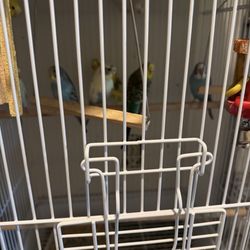 Jaula Para Pájaros 