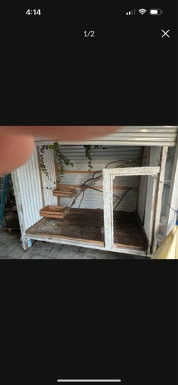 Bird case